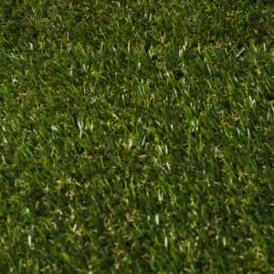 نباتات لفرش الارضيه